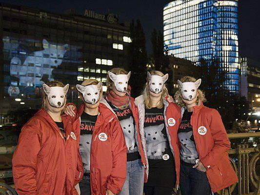 VIER PFOTEN Aktivistinnen mit Kimi-Masken vor der Projektion am Wiener Donaukanal