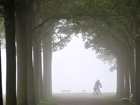 In Wien wird es in der kommenden Woche nebelig In Wien wird es in der kommenden Woche nebelig