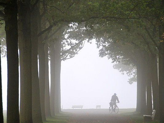 In Wien wird es in der kommenden Woche nebelig