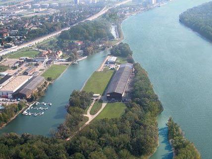 An der Donau bei Wien hofft man auf eine Ansiedlung eines Unternehmens.
