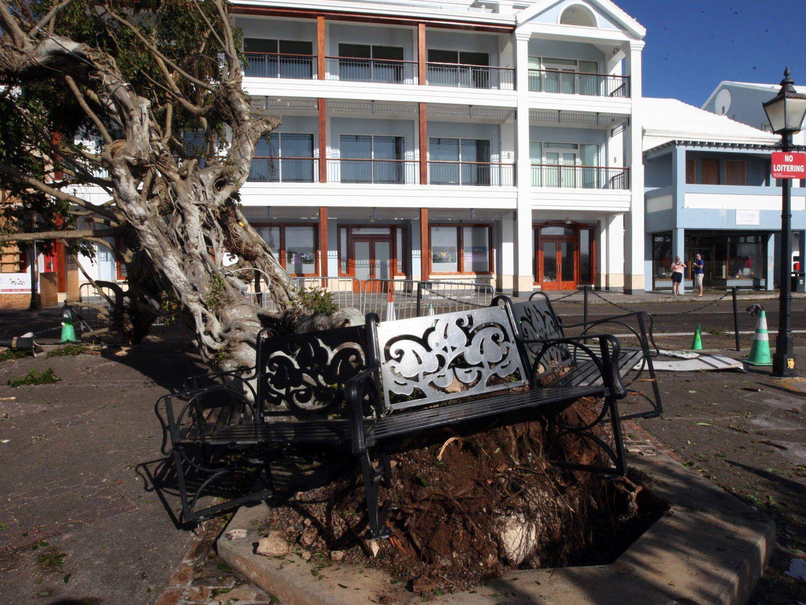 Auf den Bermudas wurden zahlreiche Bäume entwurzelt.