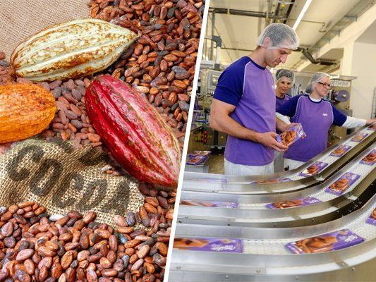 Die Produktion in Bludenz hätte einen Plan B Die Produktion in Bludenz hätte einen Plan B