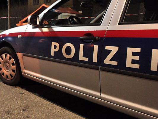 Zwei Polizisten wurden bei einer Festnahme in Wien-Donaustadt verletzt.
