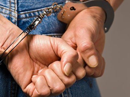 Ein Polizeidiensthund entdeckte den Gesuchten in seinem Versteck. Ein Polizeidiensthund entdeckte den Gesuchten in seinem Versteck.