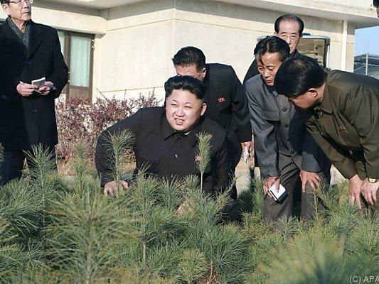 Diktator Kim jong-un muss sich wohl nicht fürchten