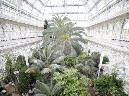 Vierjährige Sanierung abgeschlossen: Wiener Palmenhaus öffnet wieder