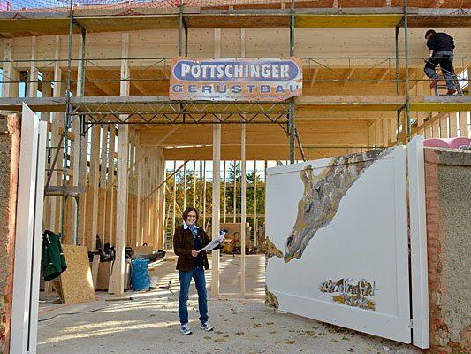 Tiergartendirektorin Dr. Dagmar Schratter vor dem Übergangsquartier für die Giraffen Tiergartendirektorin Dr. Dagmar Schratter vor dem Übergangsquartier für die Giraffen