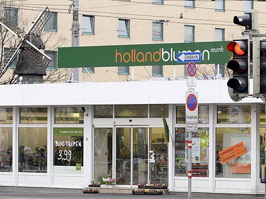 Weitere Holland Blumen Mark-Filialen werden von B&B übernommen Weitere Holland Blumen Mark-Filialen werden von B&B übernommen