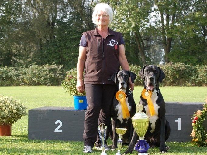 Edeltraud Moosbrugger mit ihren prämierten Doggen. Edeltraud Moosbrugger mit ihren prämierten Doggen.