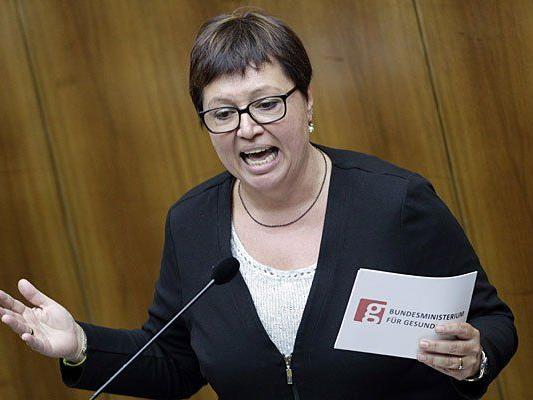 Gesundheitsministerin Sabine Oberhauser sprach über aktuelle Pläne