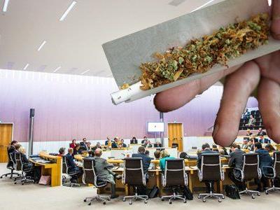 Wer hat schon einmal ein Cannabis-Produkt probiert? Wir haben im Landtag nachgefragt.