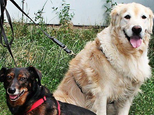 Das sind Fabio und Tuja Das sind Fabio und Tuja