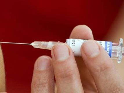 In Wien wird ein Impfstoff gegen die Chikungunya Krankheit entwickelt.