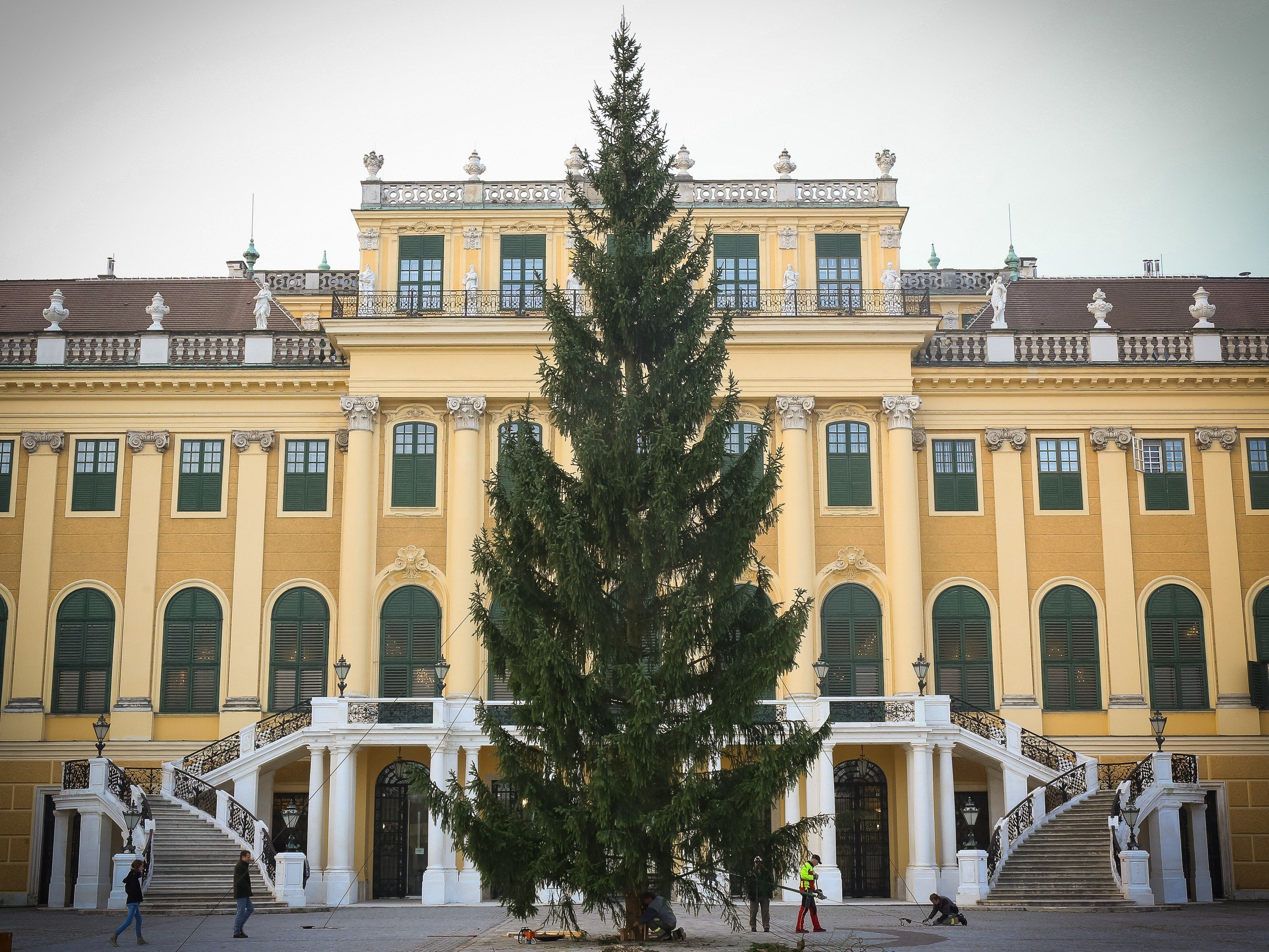 Der Baum vorm Adventmarkt Schloss Schönbrunn wurde bereits aufgestellt. Der Baum vorm Adventmarkt Schloss Schönbrunn wurde bereits aufgestellt.