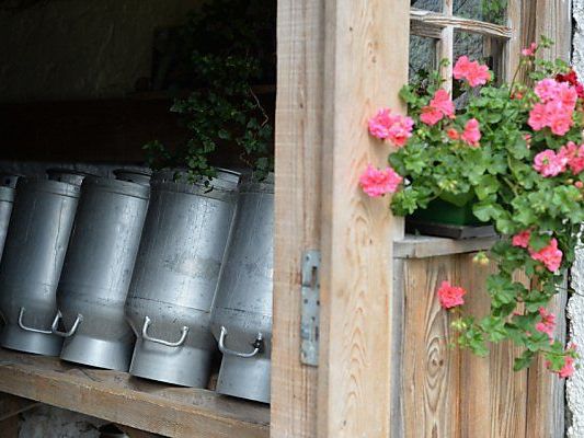 Zukunft der Milch aus betroffenen Betrieben unklar Zukunft der Milch aus betroffenen Betrieben unklar