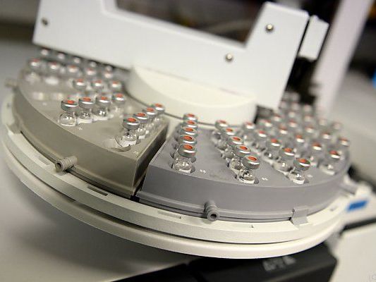 HCB-Test ergab hohe Belastung bei Schulkind HCB-Test ergab hohe Belastung bei Schulkind