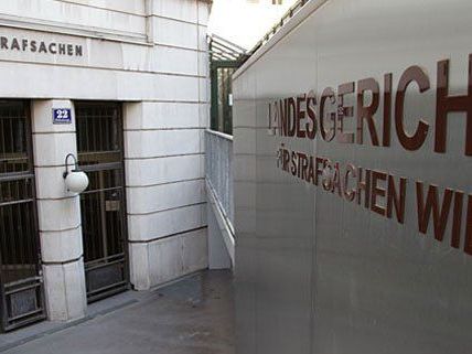 Ein 21-Jähriger muss sich in Wien vor Gericht verantworten. Ein 21-Jähriger muss sich in Wien vor Gericht verantworten.