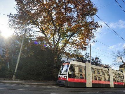 Fünf Mal am Tag umrunden die Wiener Öffis die Erde. Fünf Mal am Tag umrunden die Wiener Öffis die Erde.