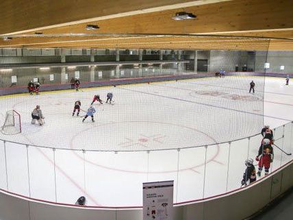 Red Bull investierte schon in ihre Eishockey Akademie in Salzburg viel Geld.