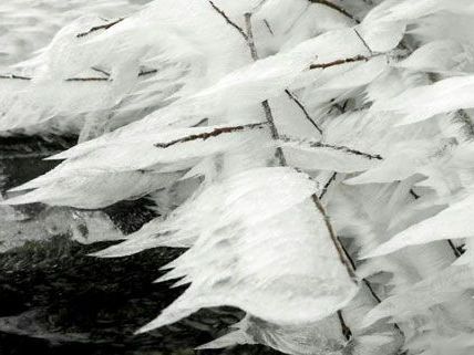 In Teilen des Waldviertels ist aufgrund des Winterwetters mit Eisregen Katastrophenalarm ausgerufen worden In Teilen des Waldviertels ist aufgrund des Winterwetters mit Eisregen Katastrophenalarm ausgerufen worden