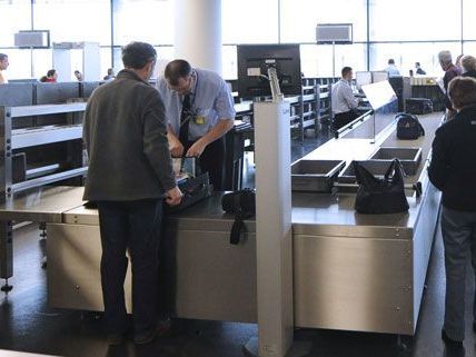 Bei Kontrollen am Flughafen wurden die Kath-Pflanzen sichergestellt Bei Kontrollen am Flughafen wurden die Kath-Pflanzen sichergestellt
