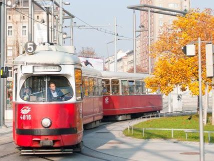 Ein Randalierer trieb in der Straßenbahn-Linie 5 sein Unwesen