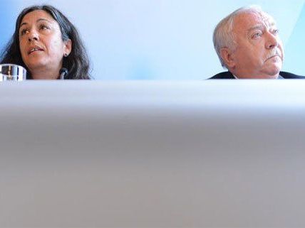 Das Wiener Wahlrecht spaltet die Geister bei Rot-Grün. Das Wiener Wahlrecht spaltet die Geister bei Rot-Grün.