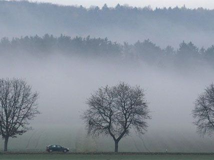 Mit weißen Weihnachten sieht es heuer eher schlecht aus. Mit weißen Weihnachten sieht es heuer eher schlecht aus.