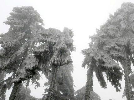 Tagelang hatte das Winterwetter Niederösterreich im Griff. Tagelang hatte das Winterwetter Niederösterreich im Griff.