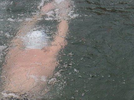 Ein Wiener stellte beim Aqua Sphere Ice Swimming einen Weltrekord auf. Ein Wiener stellte beim Aqua Sphere Ice Swimming einen Weltrekord auf.