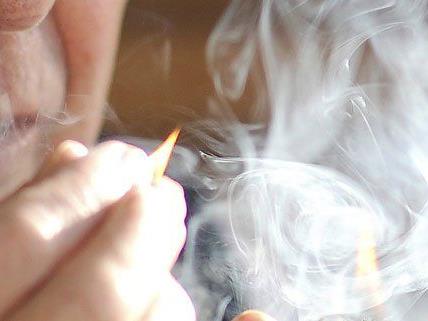 Gericht verhängte über Wiener "Rauchverbot" in eigener Wohnung