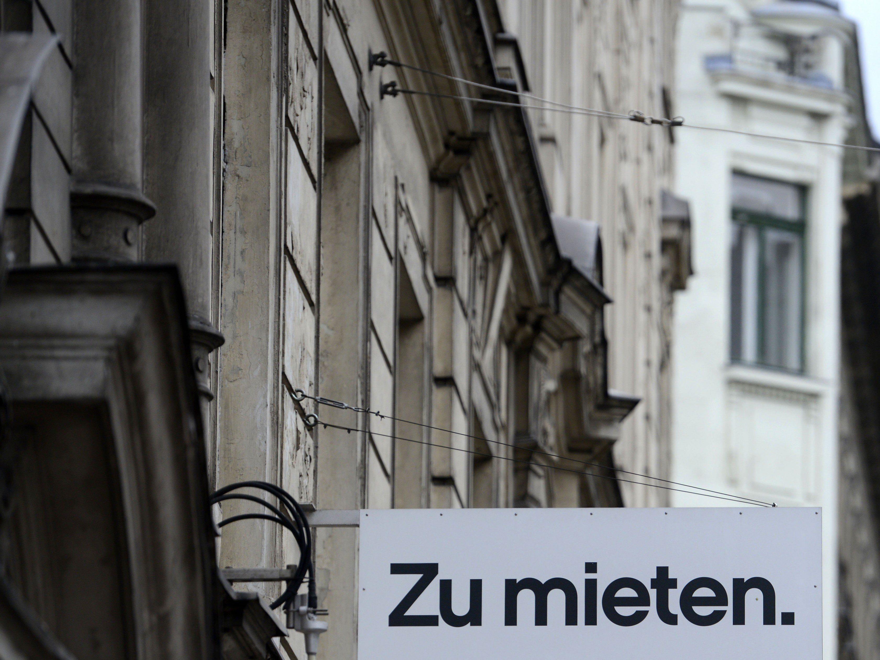 Günstige Wohnungen: Neue Info-Zentrale soll Wienern Suche erleichtern