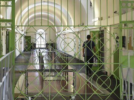 Terror - Untersuchungshaft über 14-Jährigen aus St. Pölten verlängert Terror - Untersuchungshaft über 14-Jährigen aus St. Pölten verlängert