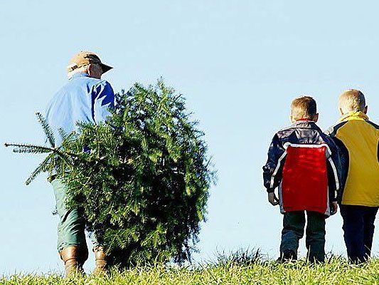 Nach den Feiertagen kann man den Christbaum entweder entsorgen - oder auf sportliche Art werfen