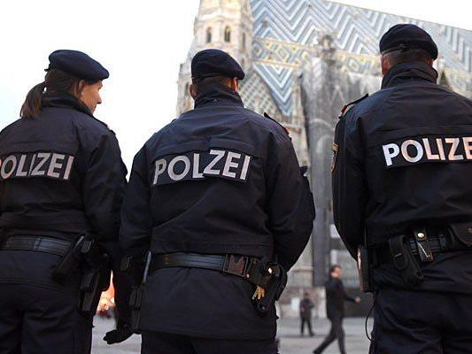 Massive Kritik übte der Rechnungshof am "Unterstützungsinstitut" für die Wiener Polizei