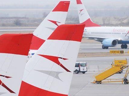 Wien-New york-Flüge der AUA wurden wegen der Blizzard-Warnung gecancelt
