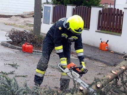 In NÖ rückte die Feuerwehr zu mehr als 100 Einsätzen aus.