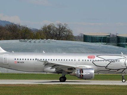 Die Grünen kritisieren den Linienflug. Die Grünen kritisieren den Linienflug.