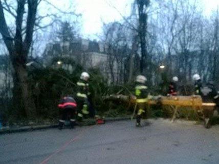 In Wien-Hietzing gab es einen Sturmbedingten Feuerwehreinsatz.