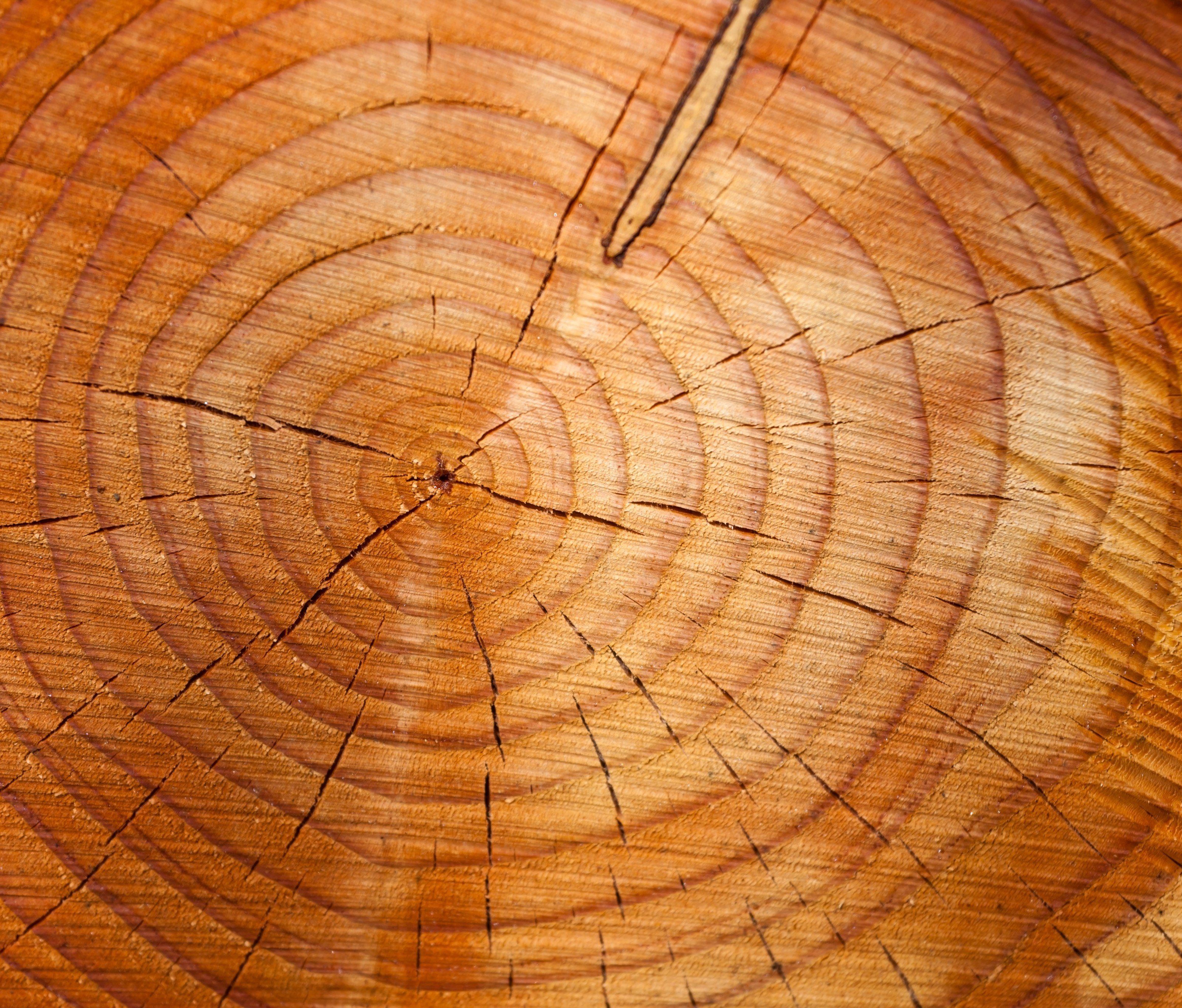 Holz ist auch jetzt noch ein beliebter Baustoff.