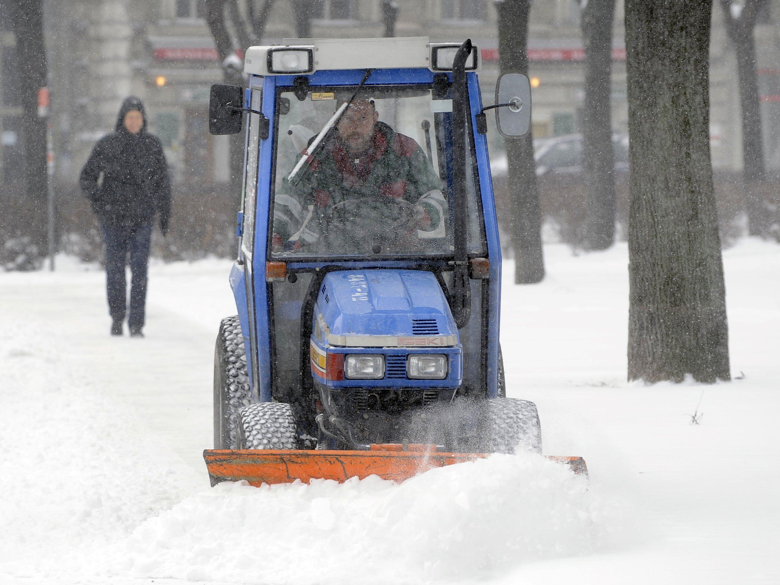 Schnee hält Räumdienste in Wien auf Trab.