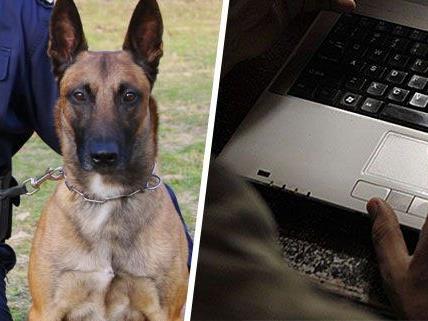 Eine Bombendrohung ging per E-Mail ein - es kam zu einem Einsatz mit Polizeidiensthunden