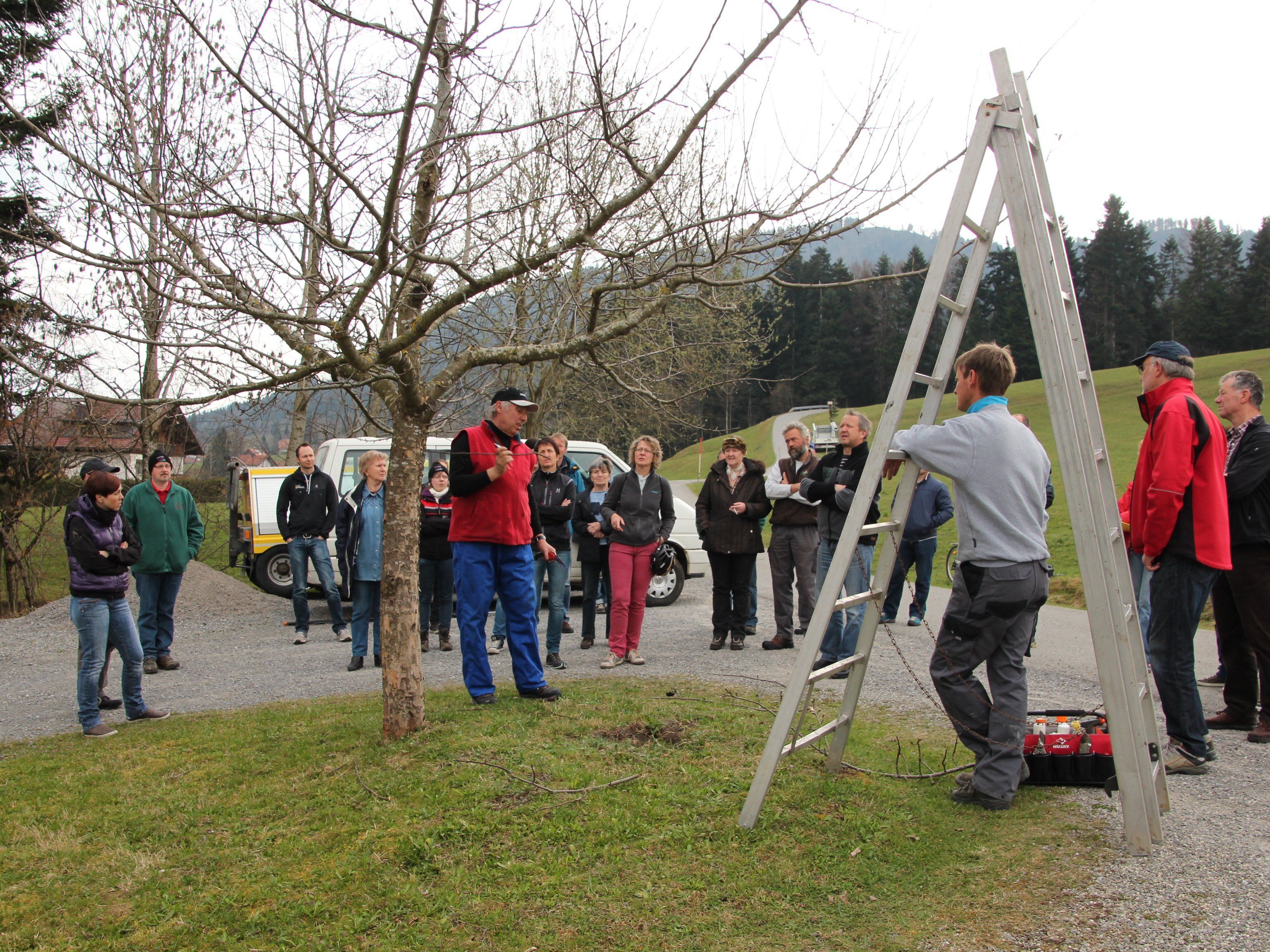Baumschnittkurs - Seminar für Freizeitgärtner Baumschnittkurs - Seminar für Freizeitgärtner