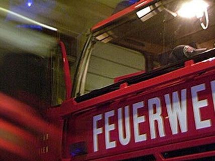 Die Feuerwehr musste den Wagen aus dem Biotop bergen