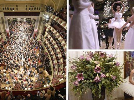 Staatsoper lädt zum Künstlerball Staatsoper lädt zum Künstlerball