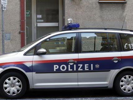 Die Wiener Polizei hat eine Straßenraubserie klären können.