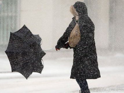 Der Schneefall in Wien sorgte für mehrere Unfälle.