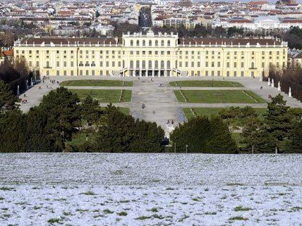 Im Schönbrunner Schlosspark kam es zu einem Fall von Vandalismus Im Schönbrunner Schlosspark kam es zu einem Fall von Vandalismus