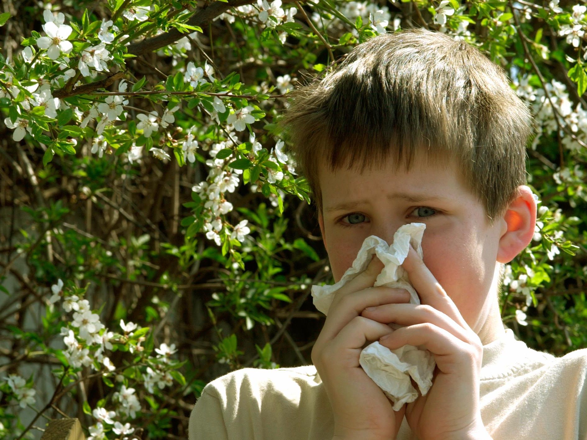 Tipps gegen Allergien - vor allem im Frühjahr. Tipps gegen Allergien - vor allem im Frühjahr.