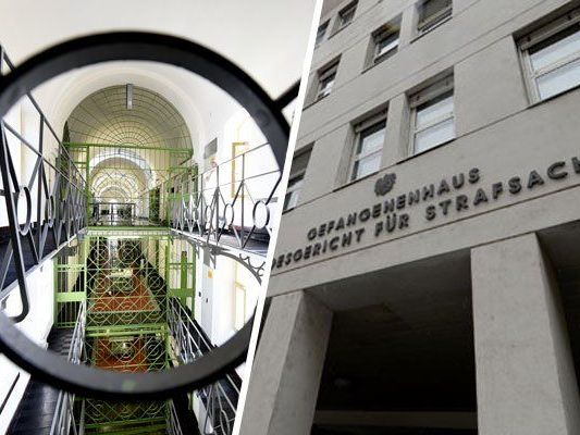 Verwahrloster Häftling in JA Krems-Stein: Strafverfahren eingestellt Verwahrloster Häftling in JA Krems-Stein: Strafverfahren eingestellt